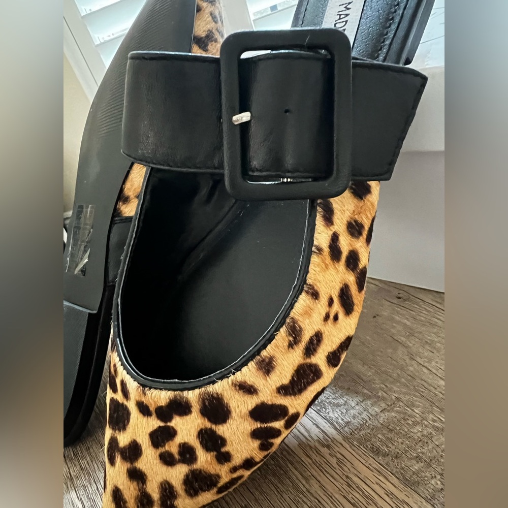 TRENDING!  Very rare Steve Madden leopard Brown and Black Mules with Block Heel